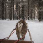 Rovaniemi and Santa's Village - Lapland Holidays