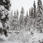 Frozen Waterfalls - Korouoma, Winter in Finland 