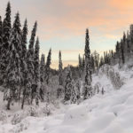Frozen Waterfalls - Korouoma, Winter in Finland 